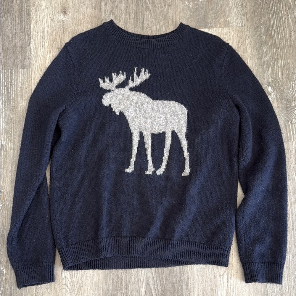 Abercrombie Kids Blue and Gray Crewneck Sweater with Moose Design